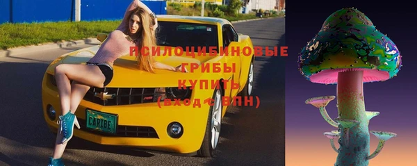 СК Медногорск