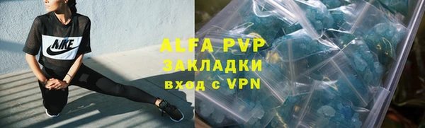СК Медногорск