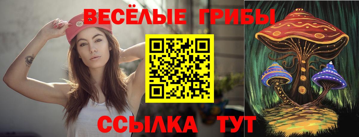 Галлюциногенные грибы Psilocybe  Вход с VPN  Коломна  Галлюциногенные грибы GOLDEN TEACHER 